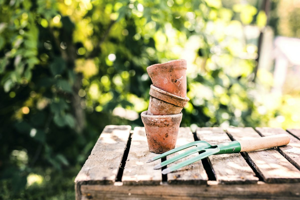 Garden tool and flower pots in the garden.